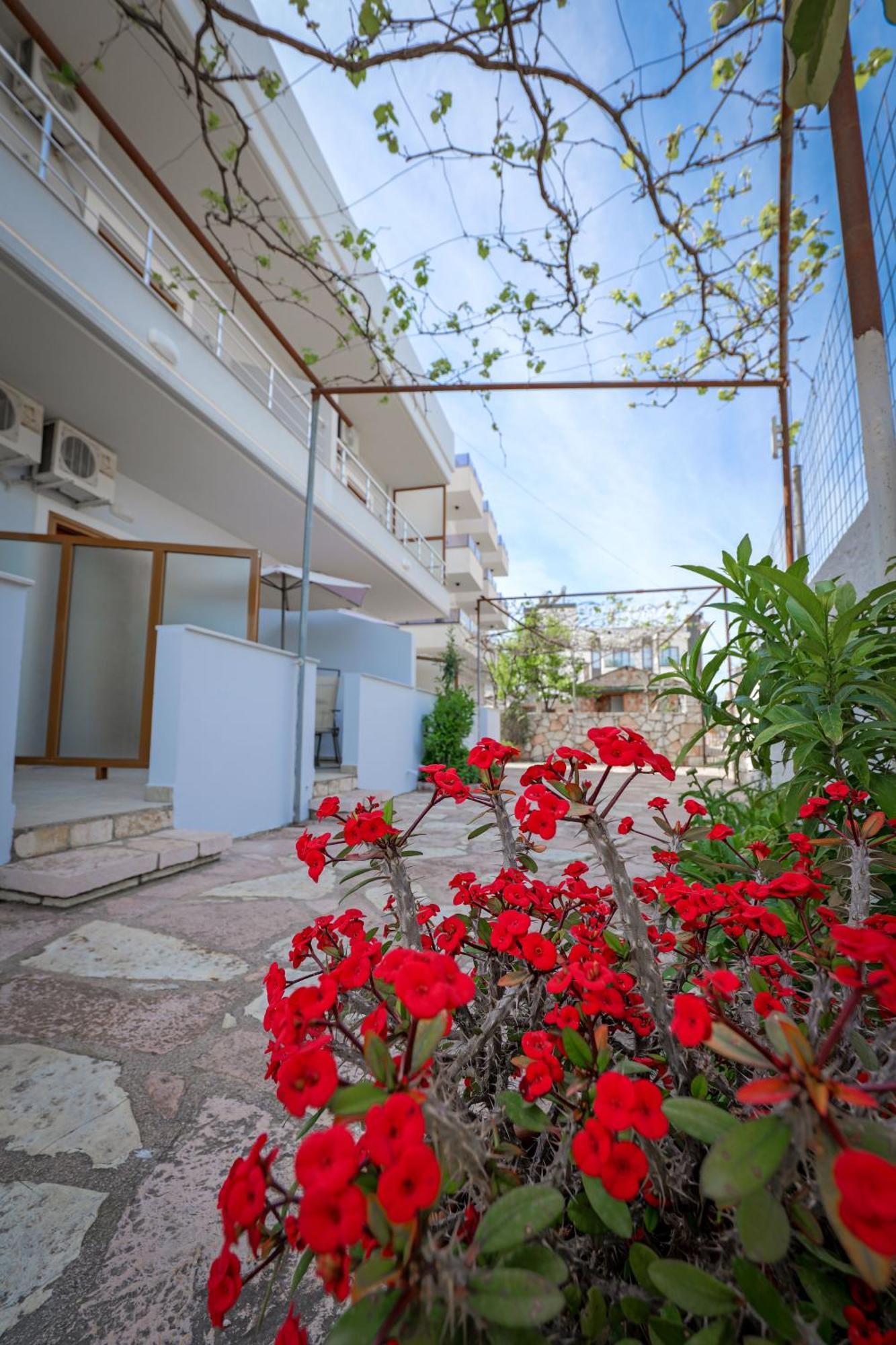 Guesthouse Moonlight Downtown 사밀 외부 사진