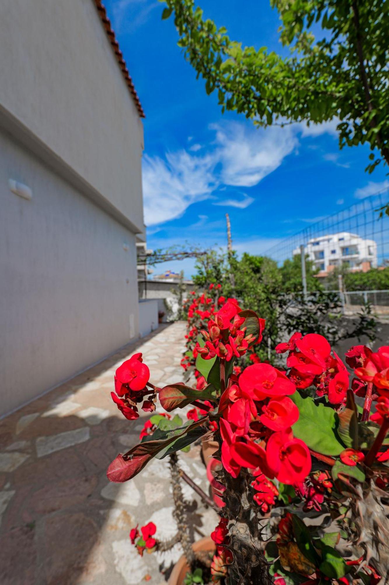 Guesthouse Moonlight Downtown 사밀 외부 사진